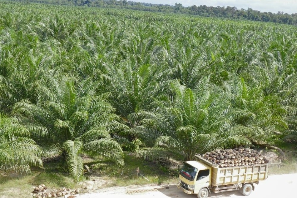 Saham ANJT cetak laba bersih